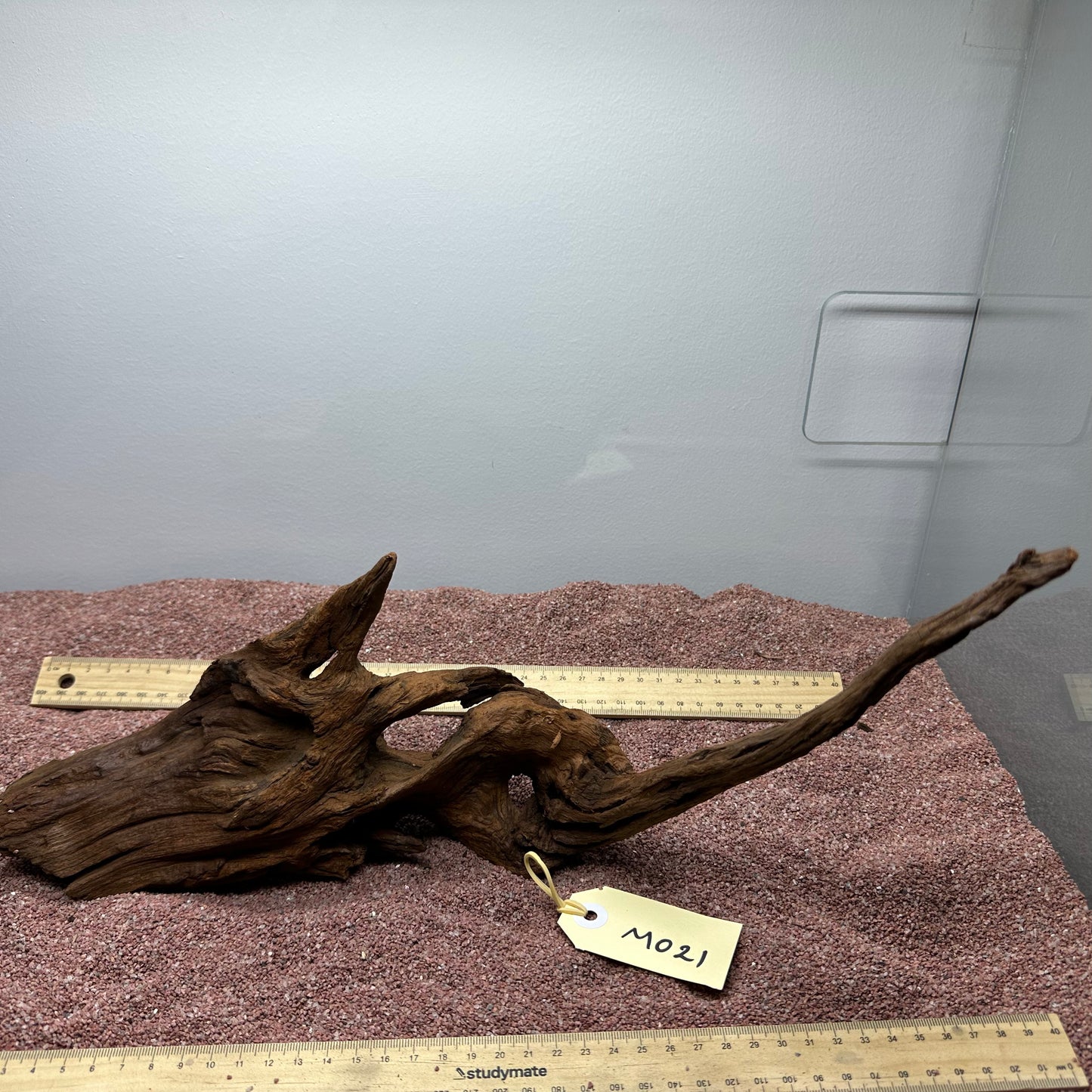 Driftwood (Medium)