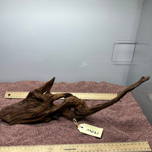 Driftwood (Medium)