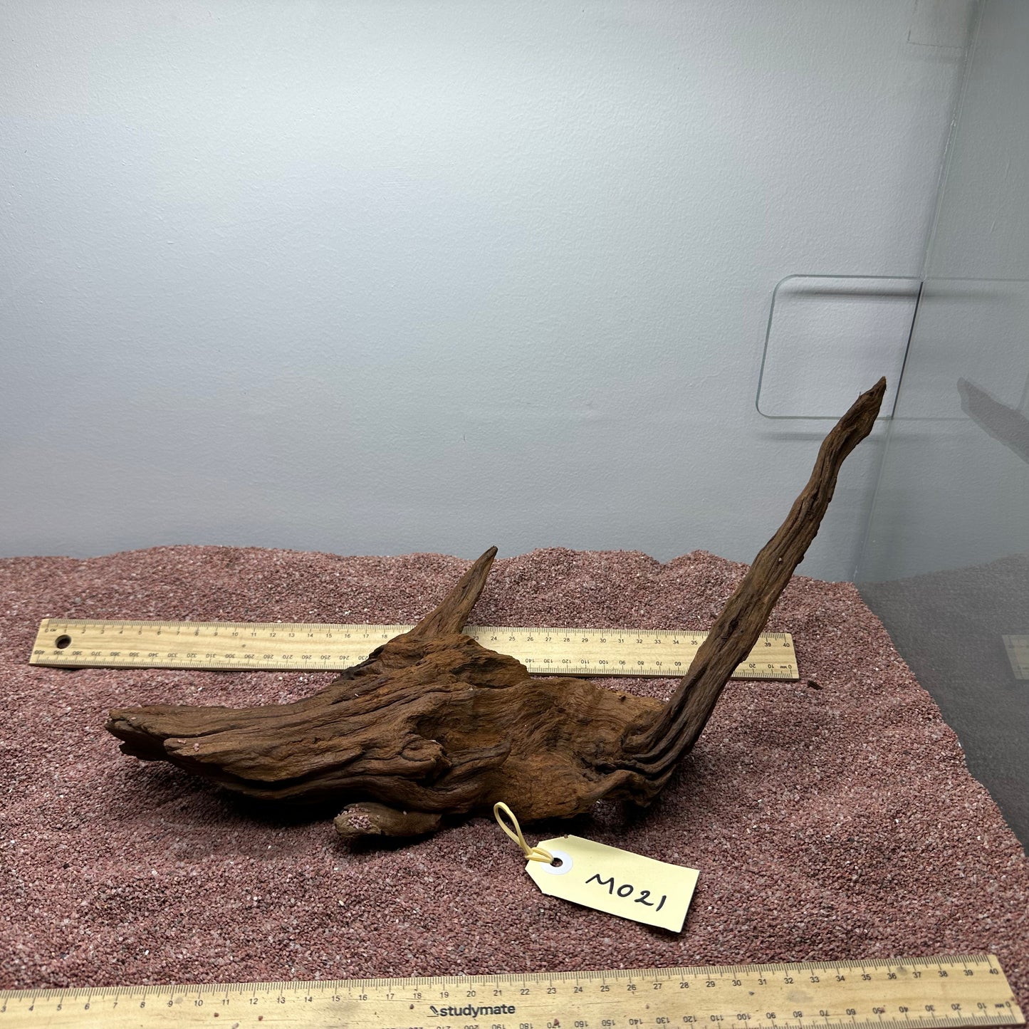 Driftwood (Medium)