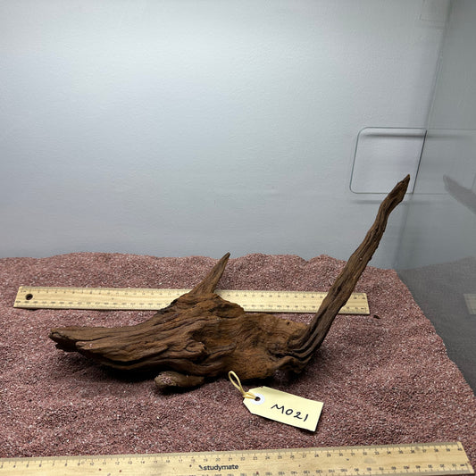 Driftwood (Medium)