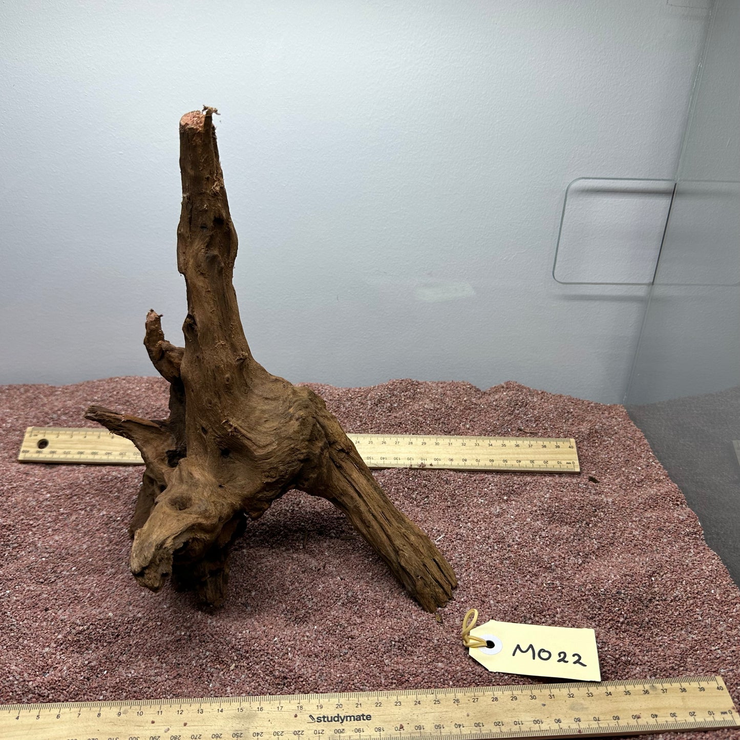 Driftwood (Medium)