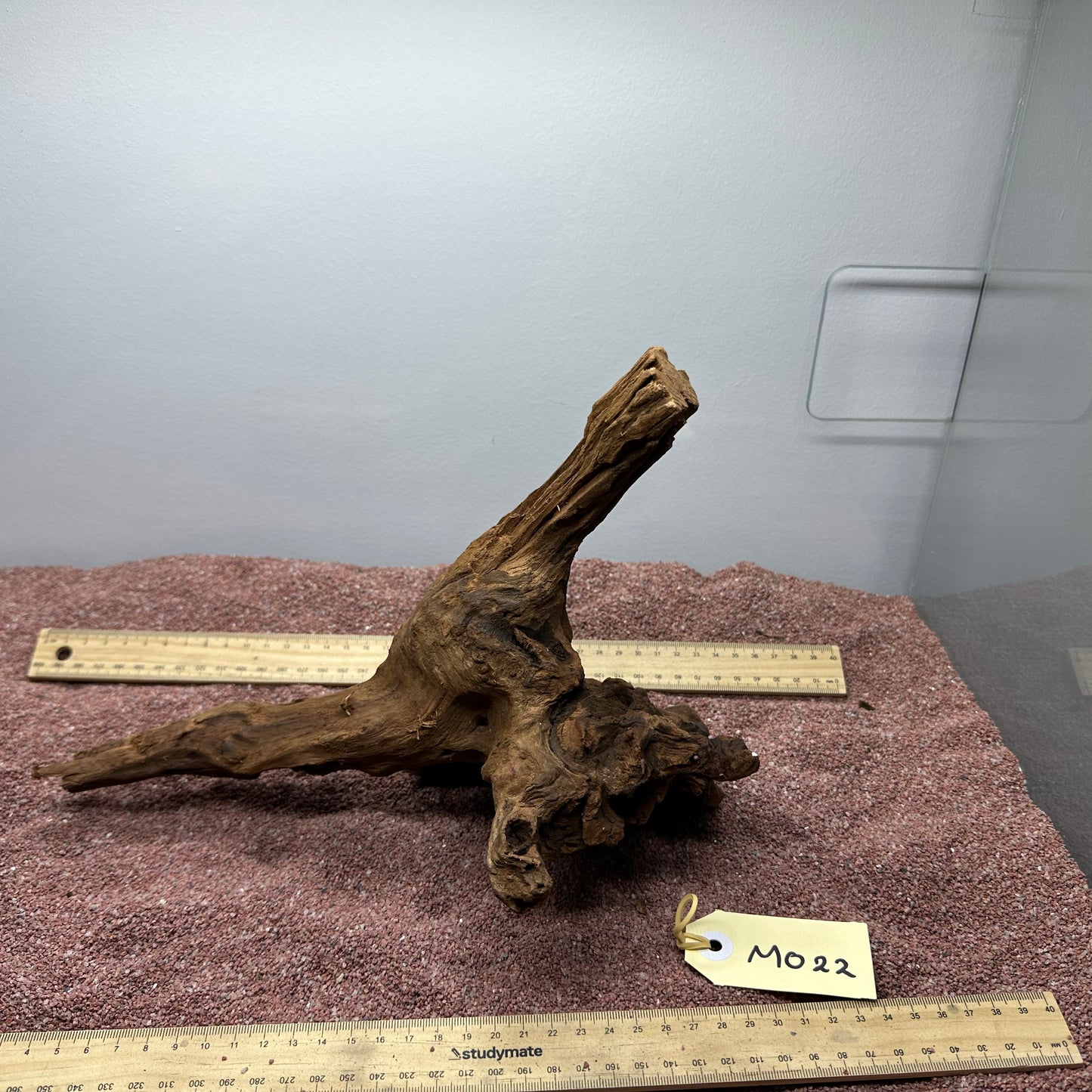 Driftwood (Medium)