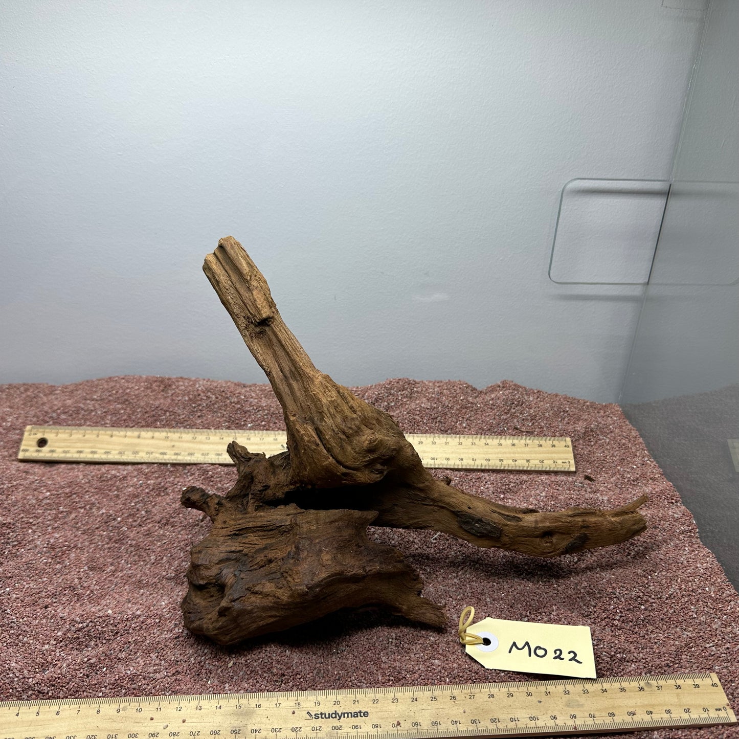 Driftwood (Medium)