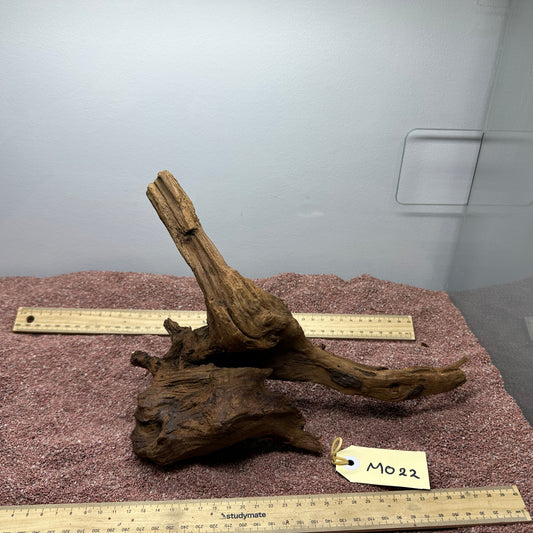 Driftwood (Medium)