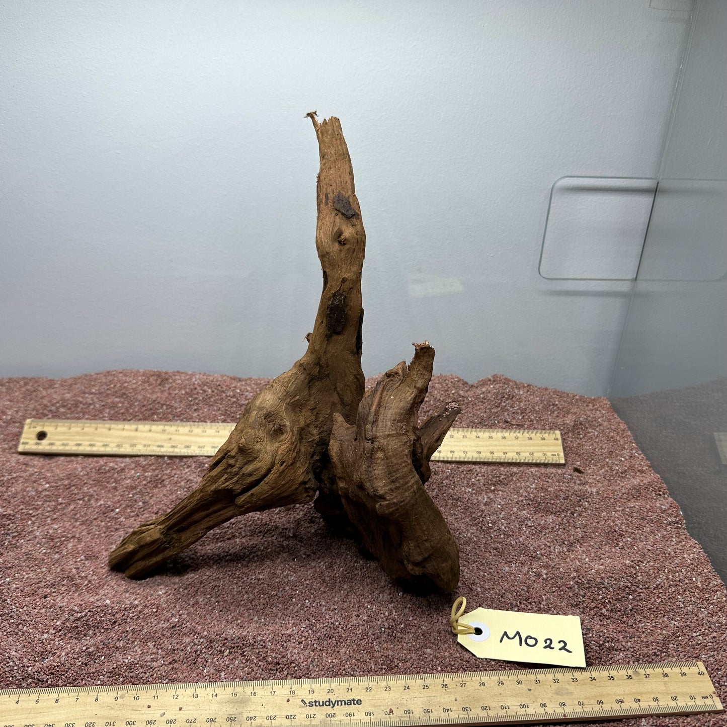 Driftwood (Medium)