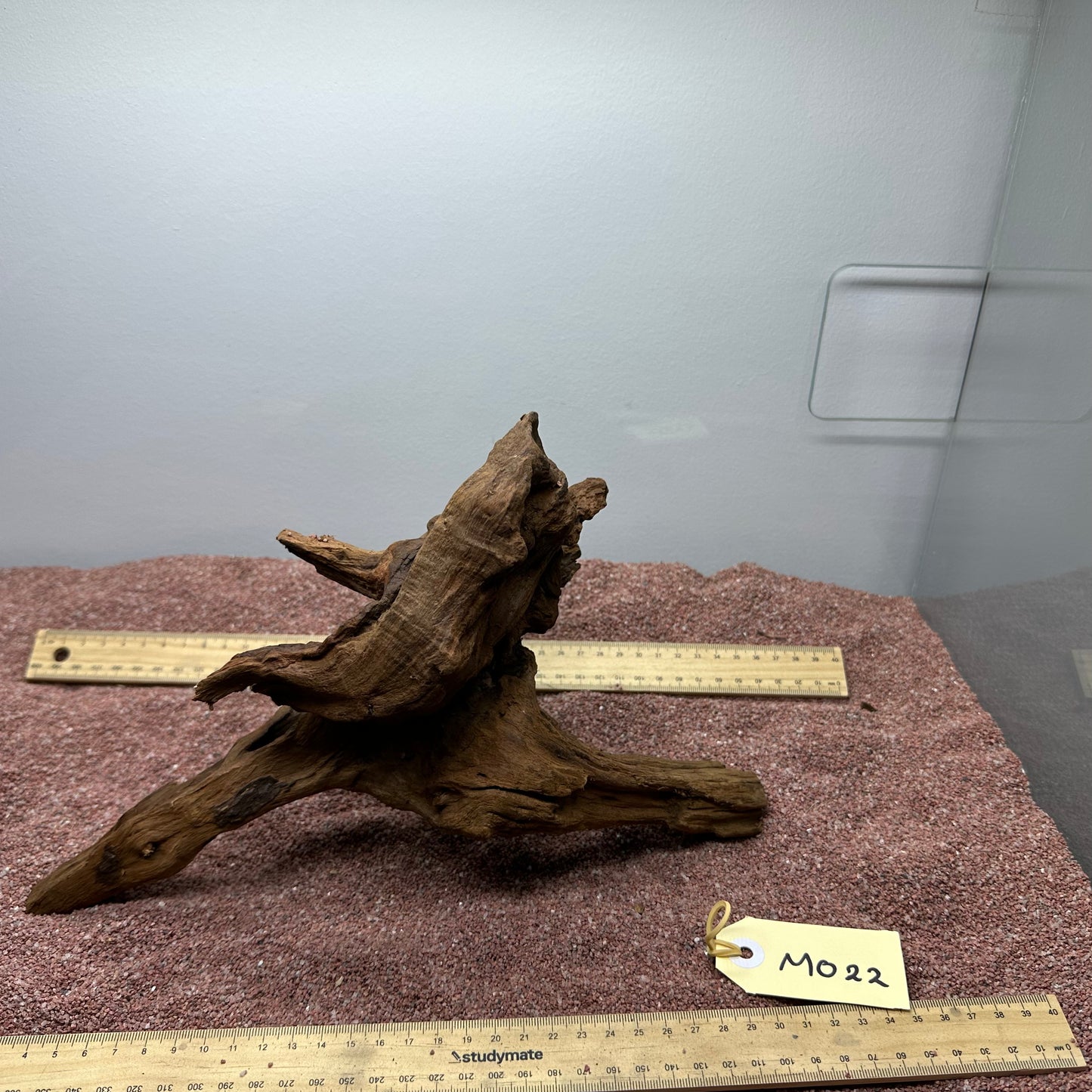 Driftwood (Medium)