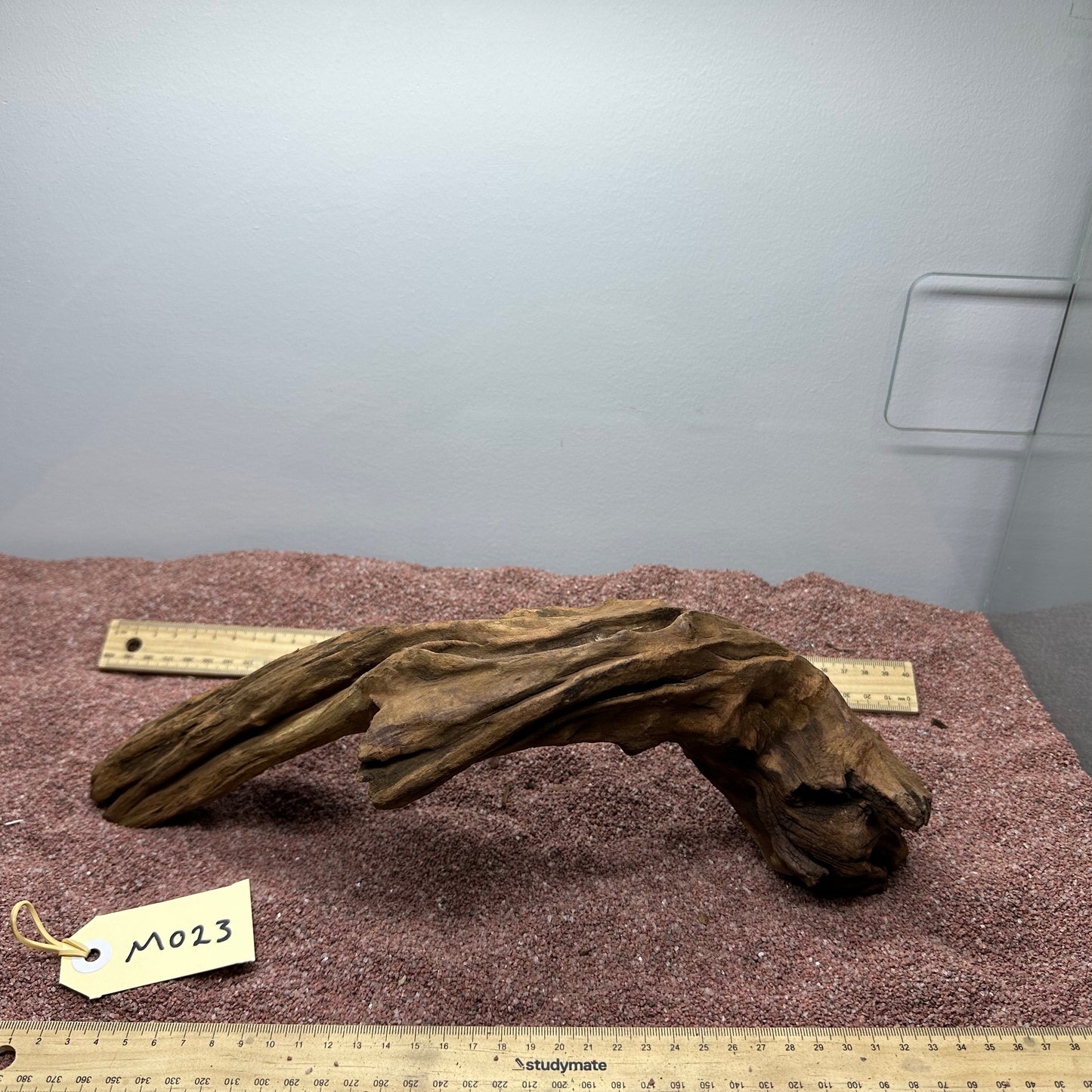 Driftwood (Medium)