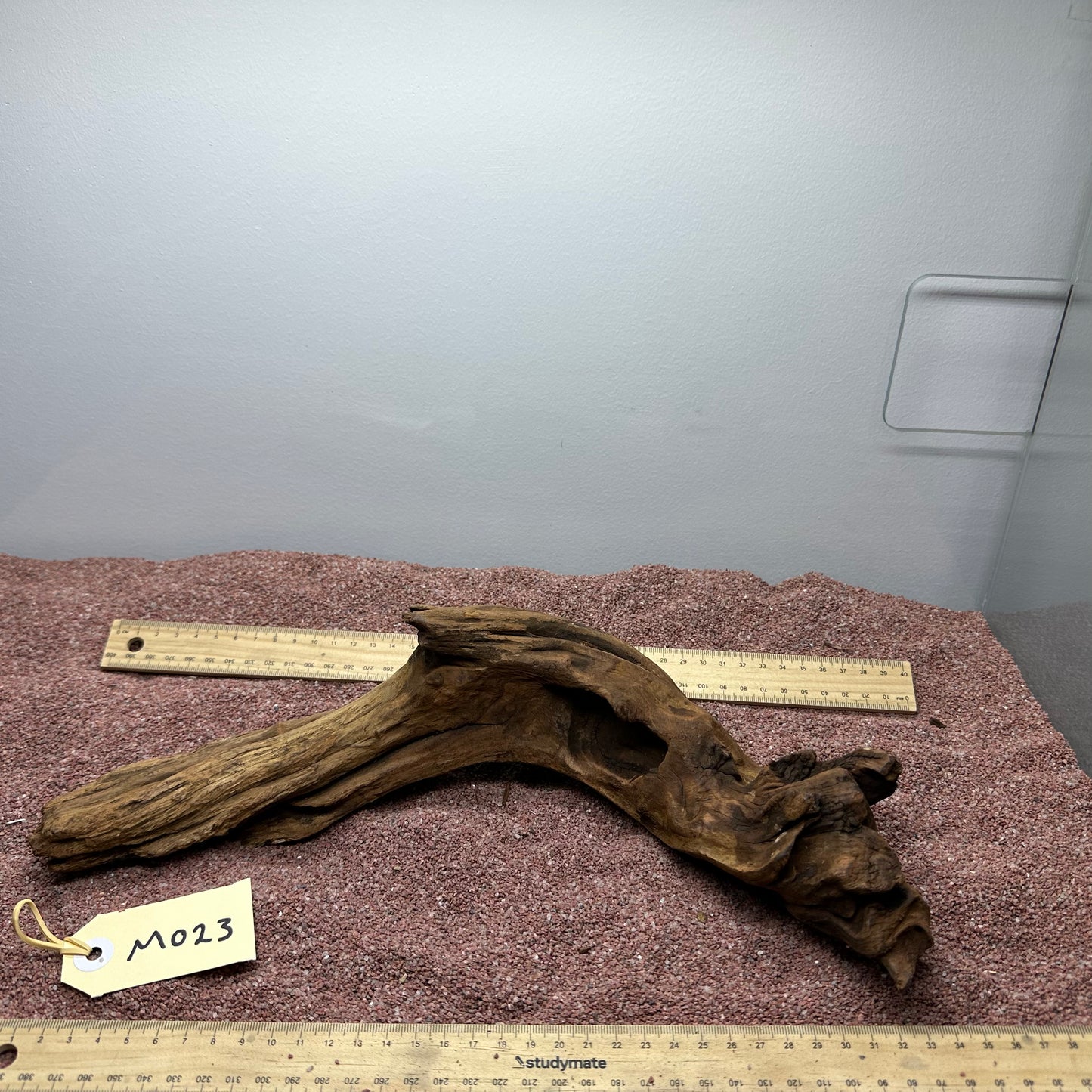 Driftwood (Medium)