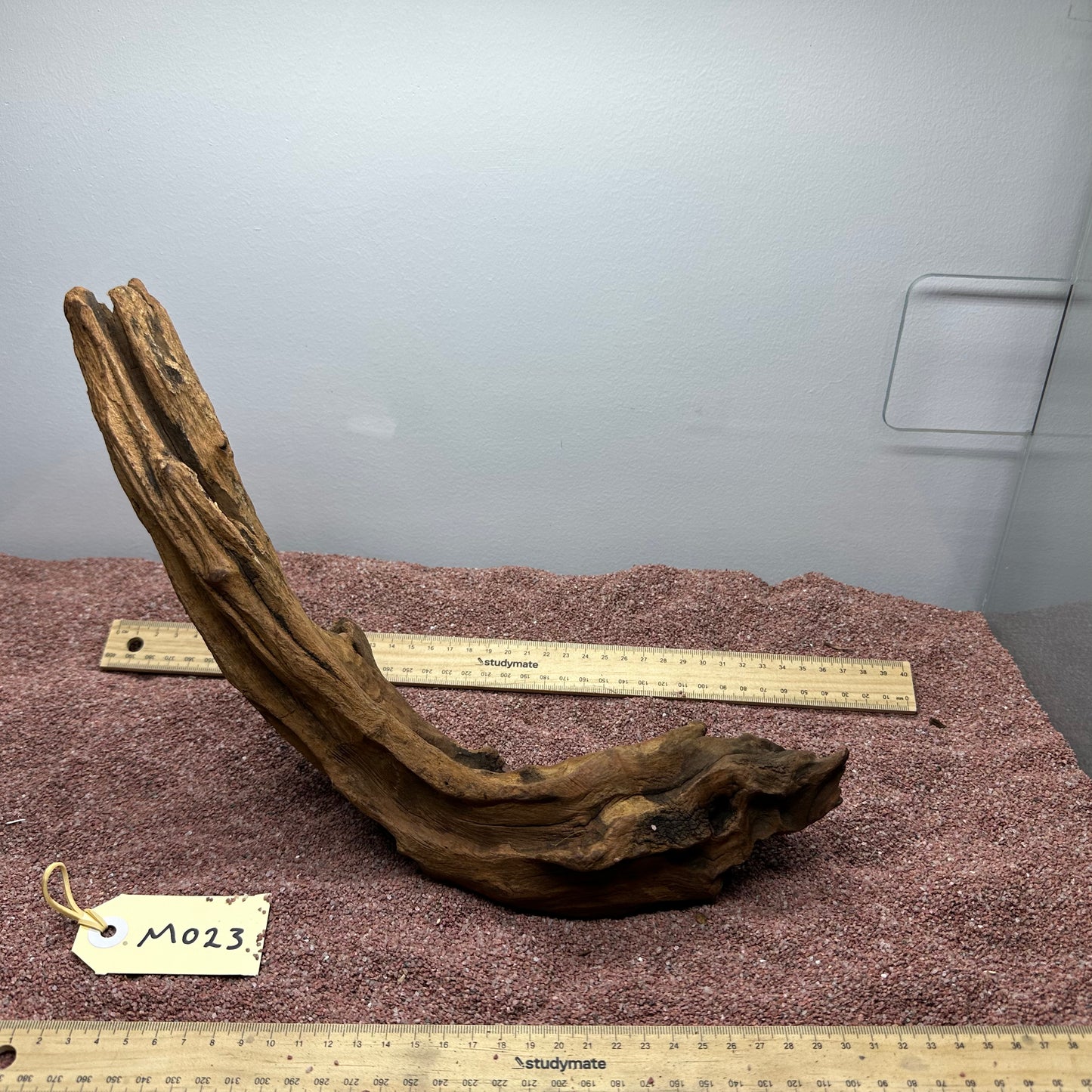 Driftwood (Medium)