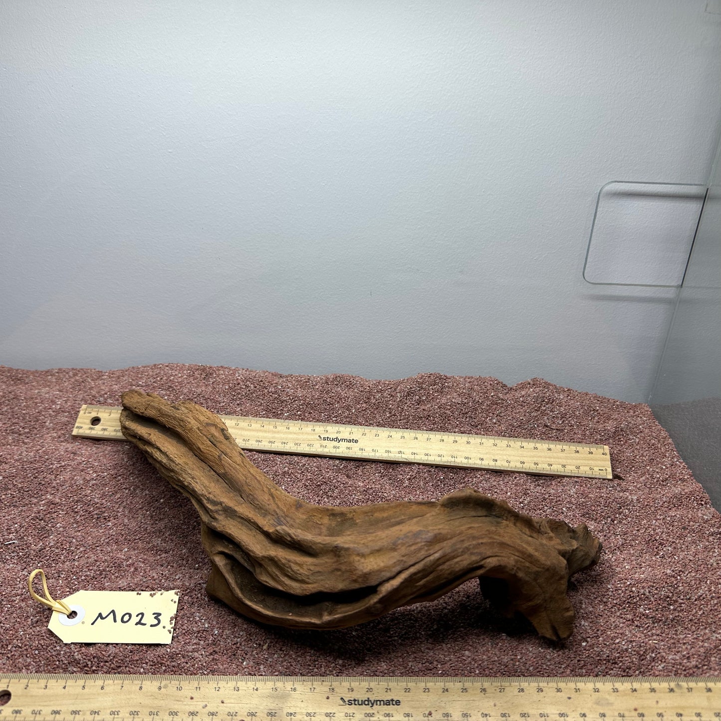 Driftwood (Medium)