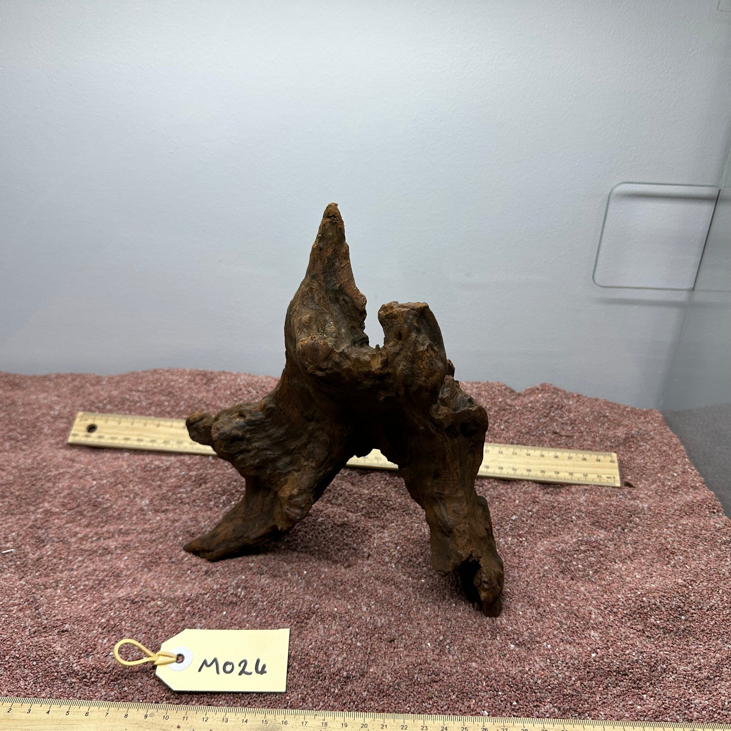 Driftwood (Medium)