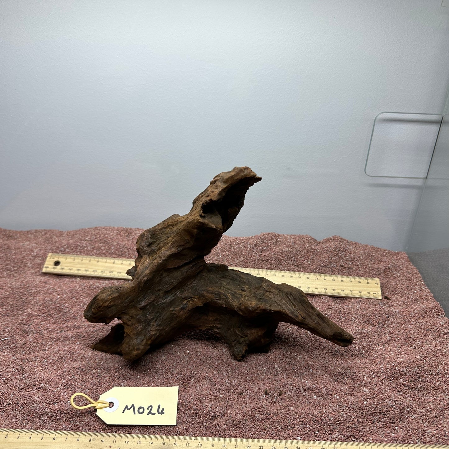 Driftwood (Medium)