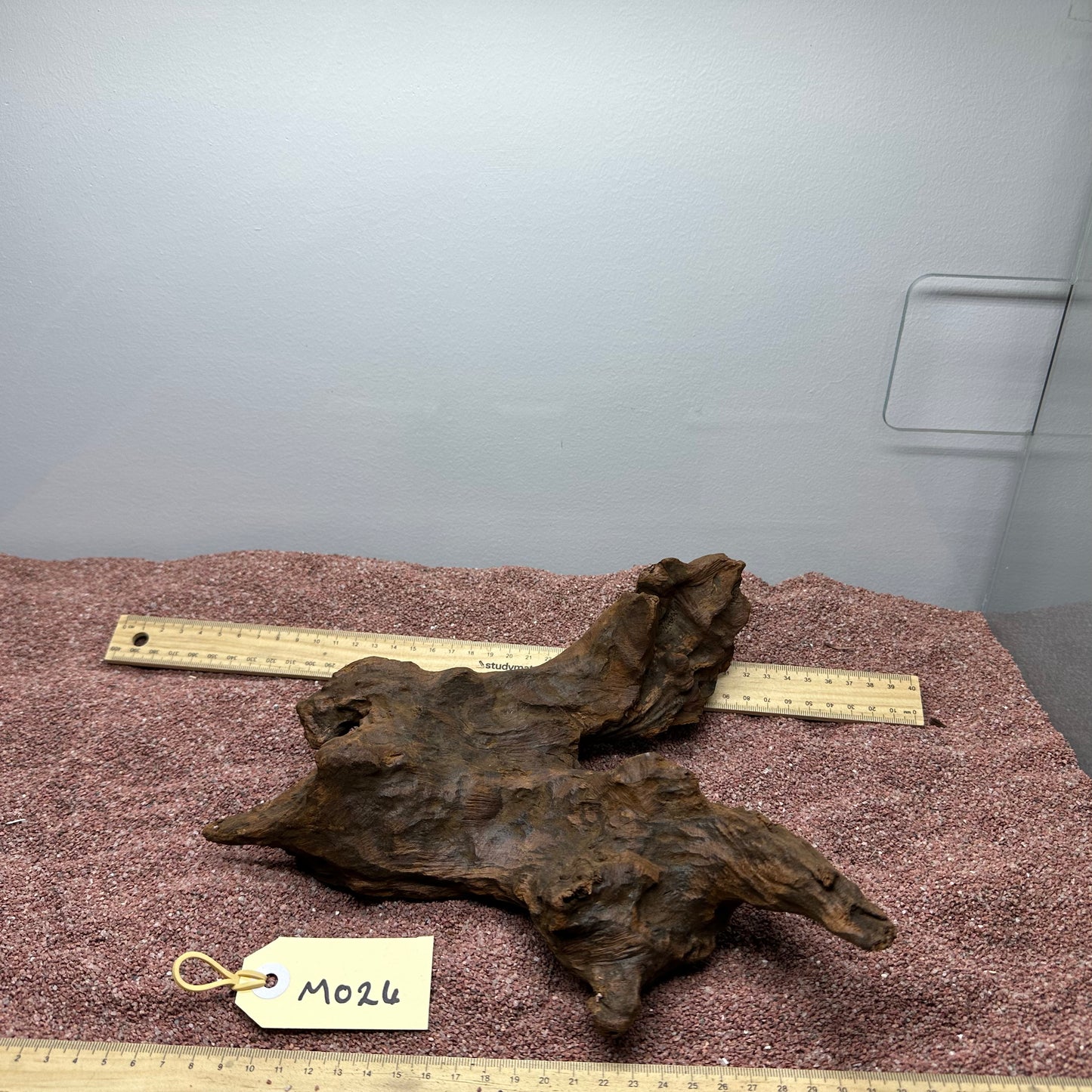 Driftwood (Medium)