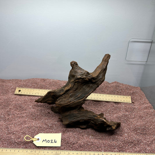 Driftwood (Medium)