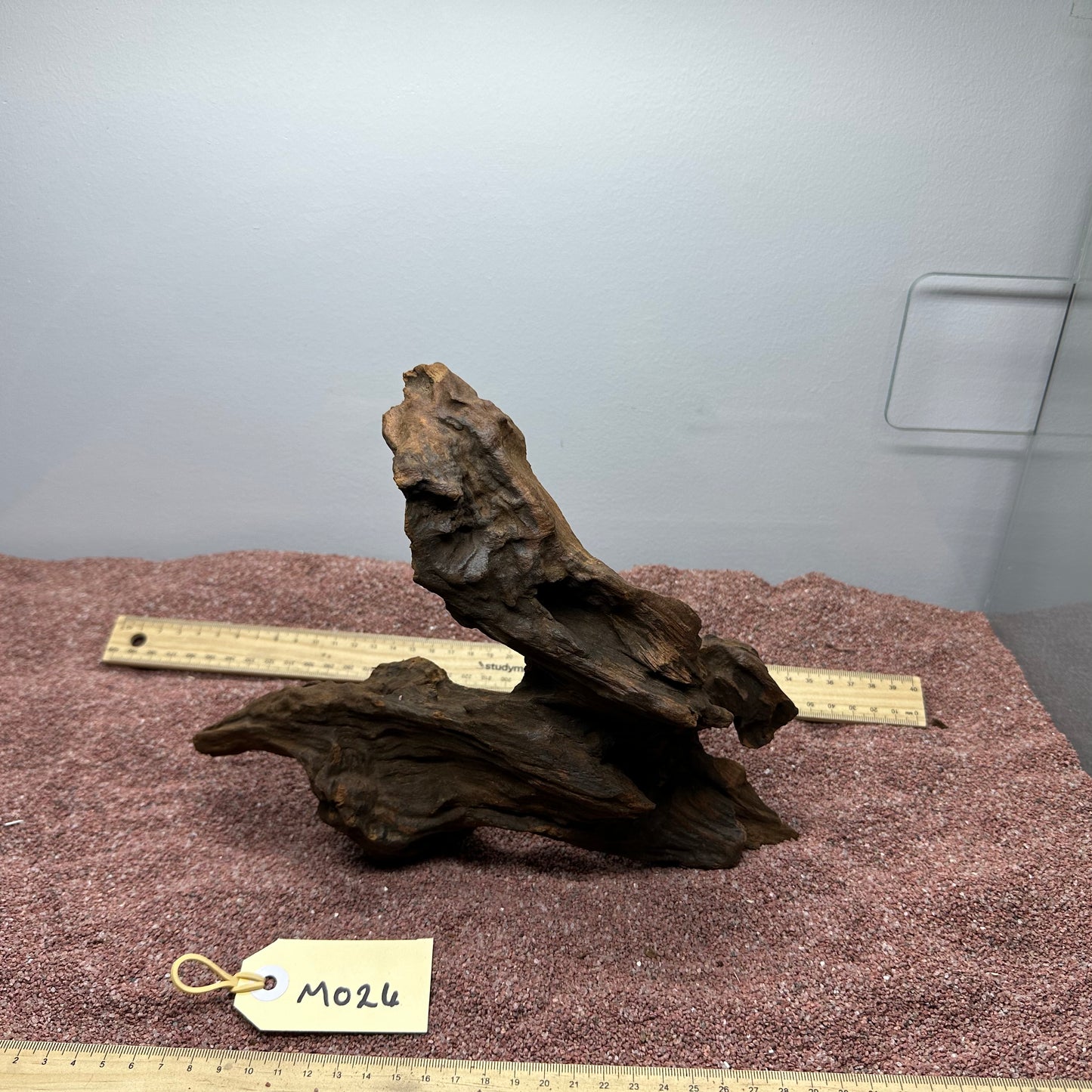 Driftwood (Medium)