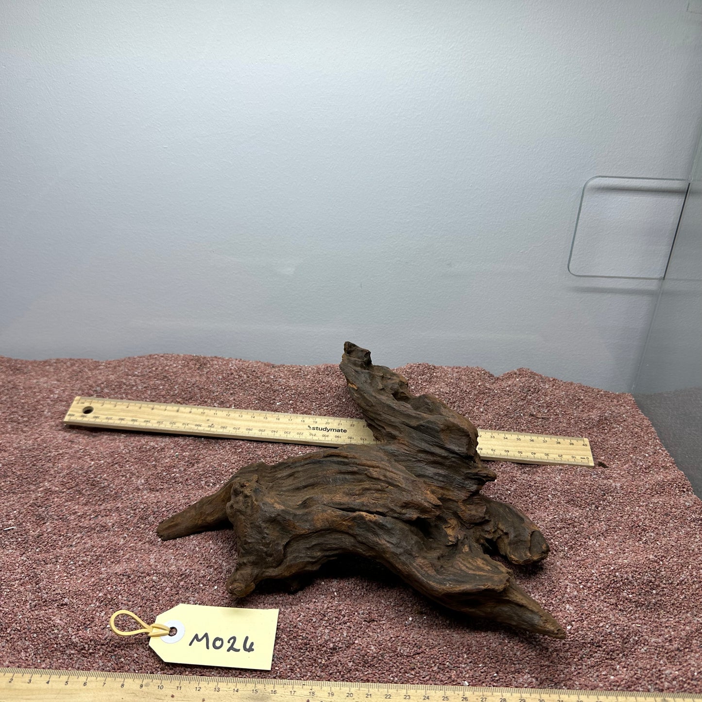 Driftwood (Medium)