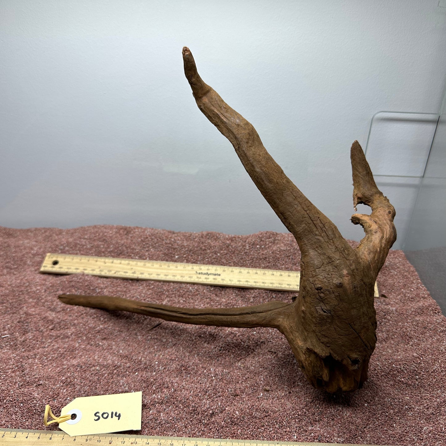 Driftwood (Small)