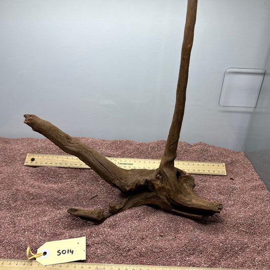 Driftwood (Small)