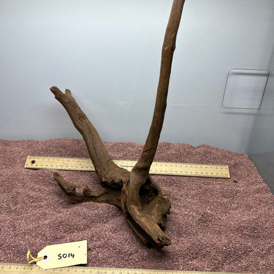 Driftwood (Small)