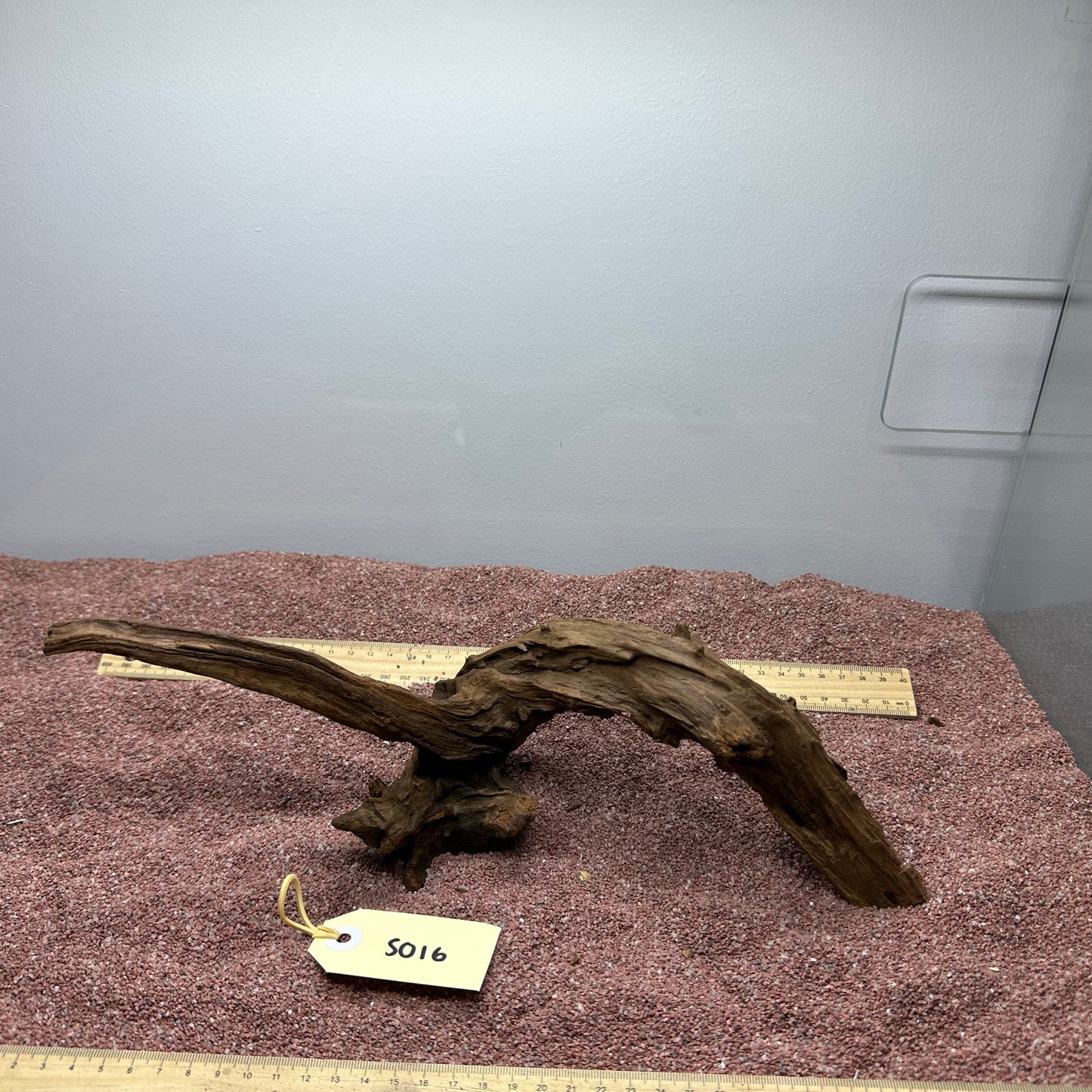 Driftwood (Small)