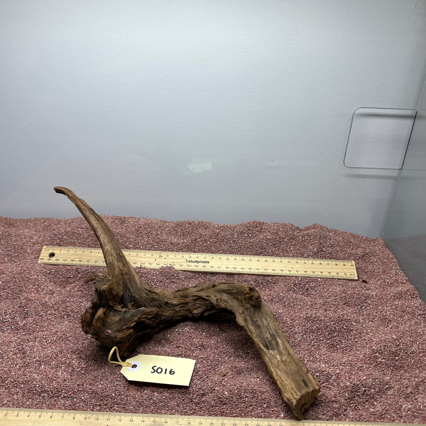 Driftwood (Small)