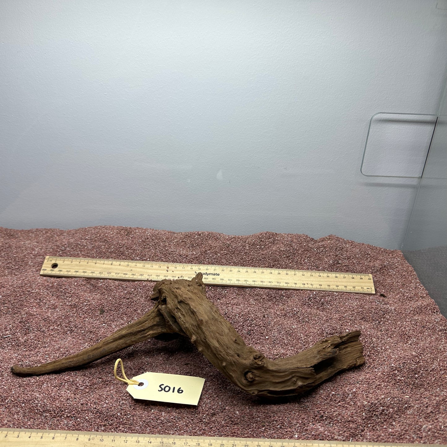Driftwood (Small)