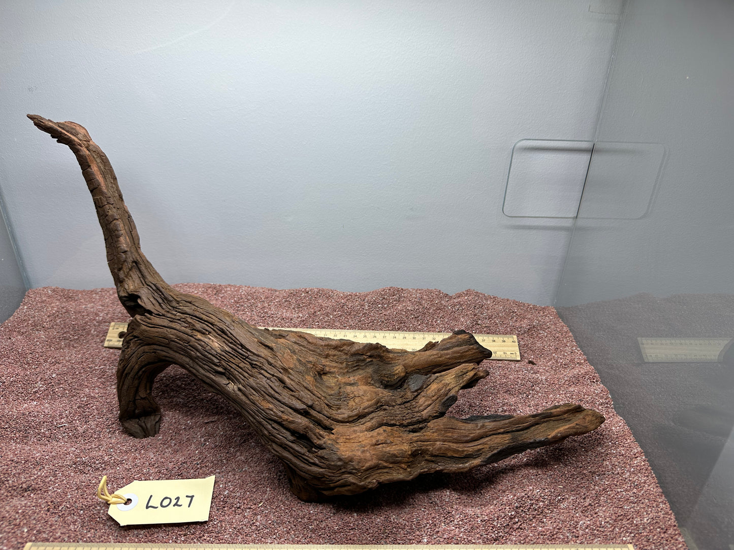 Driftwood (Large)