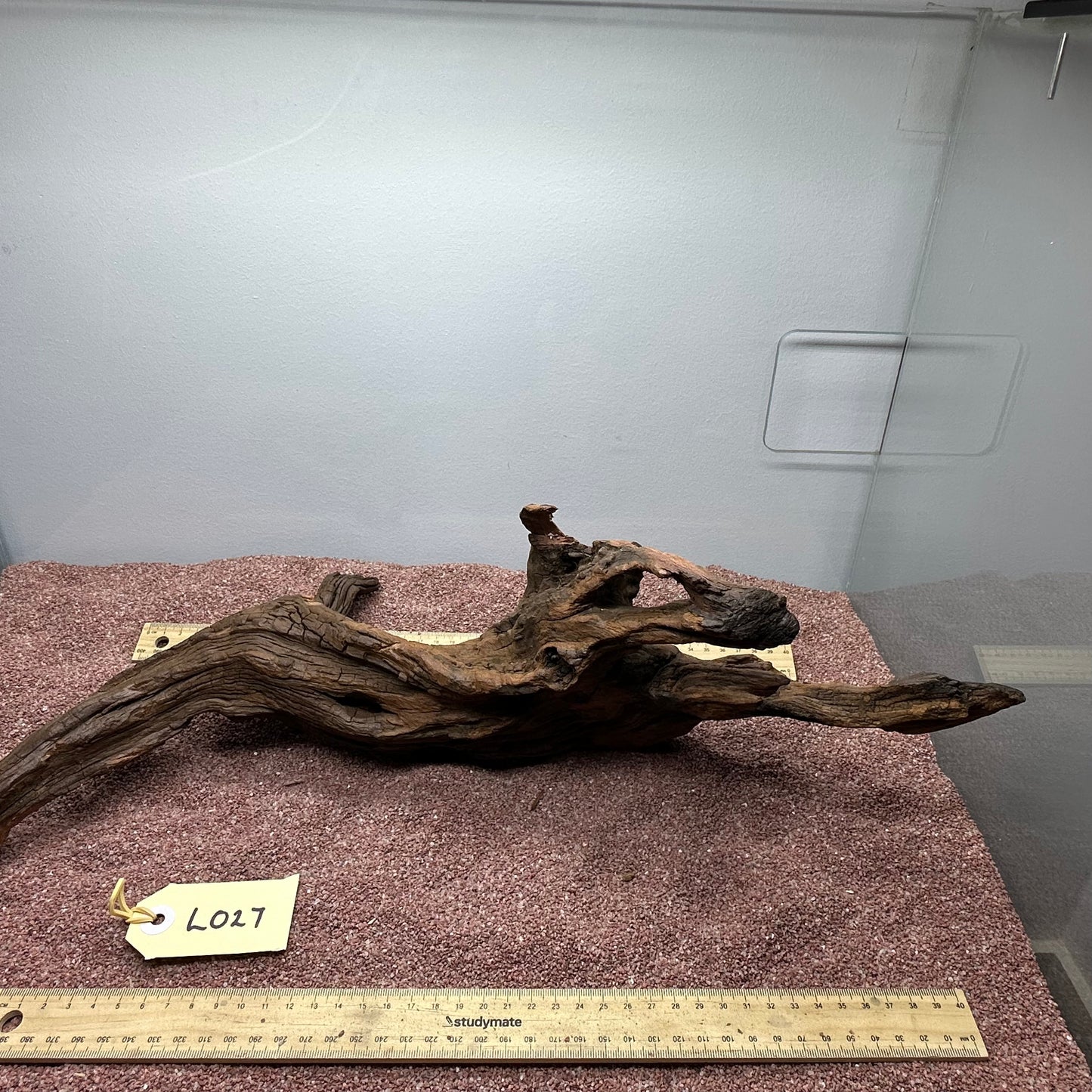 Driftwood (Large)
