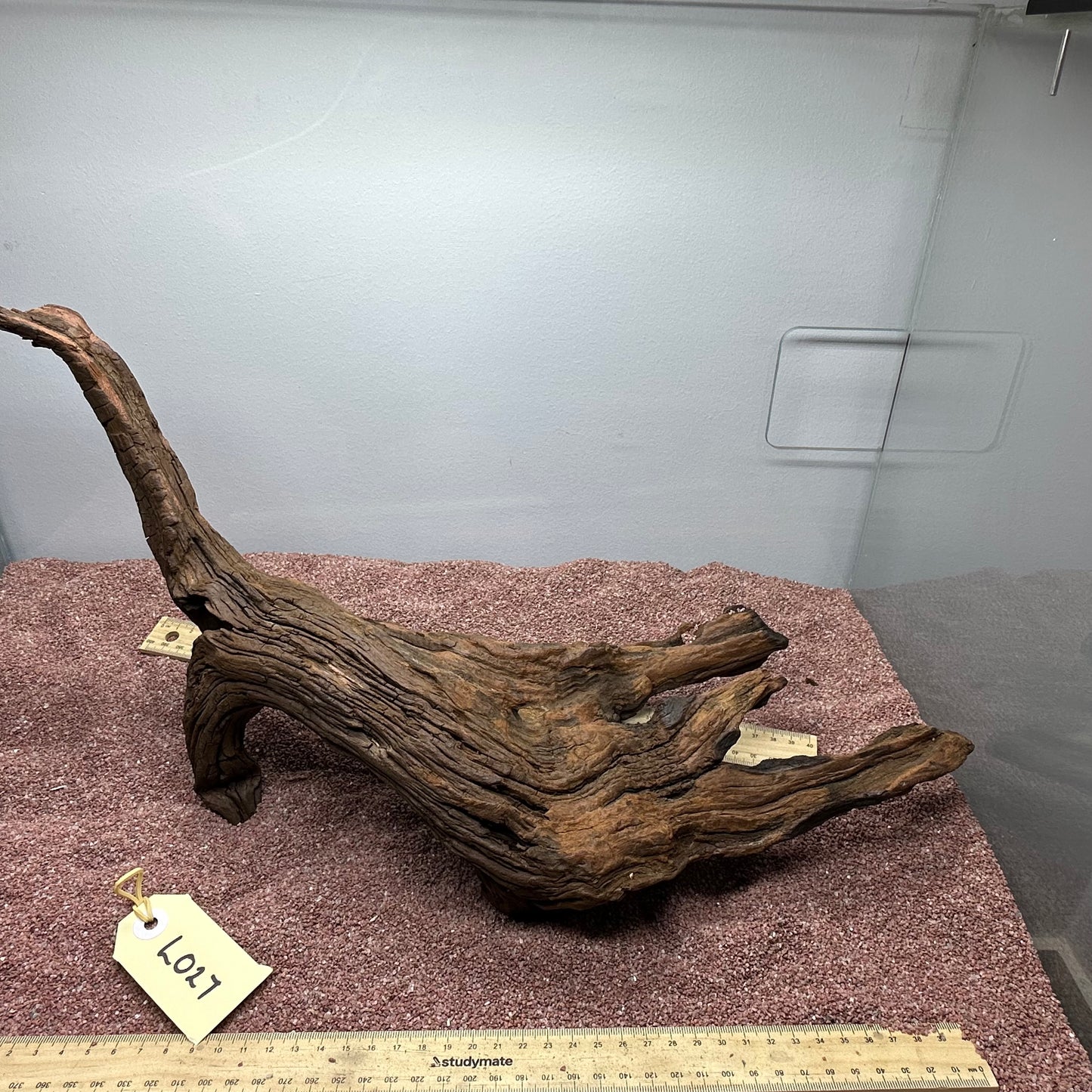 Driftwood (Large)