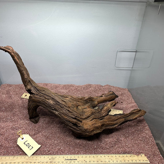 Driftwood (Large)