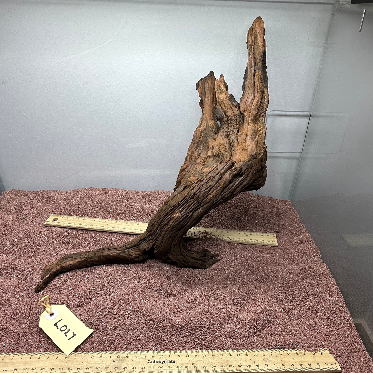 Driftwood (Large)