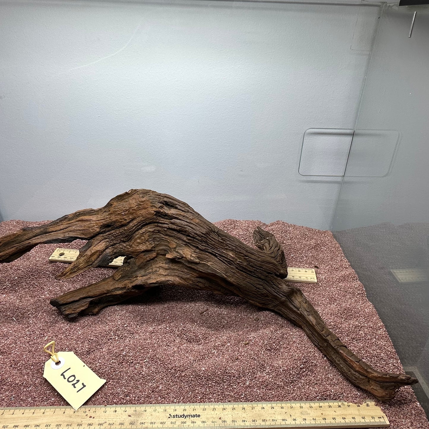 Driftwood (Large)