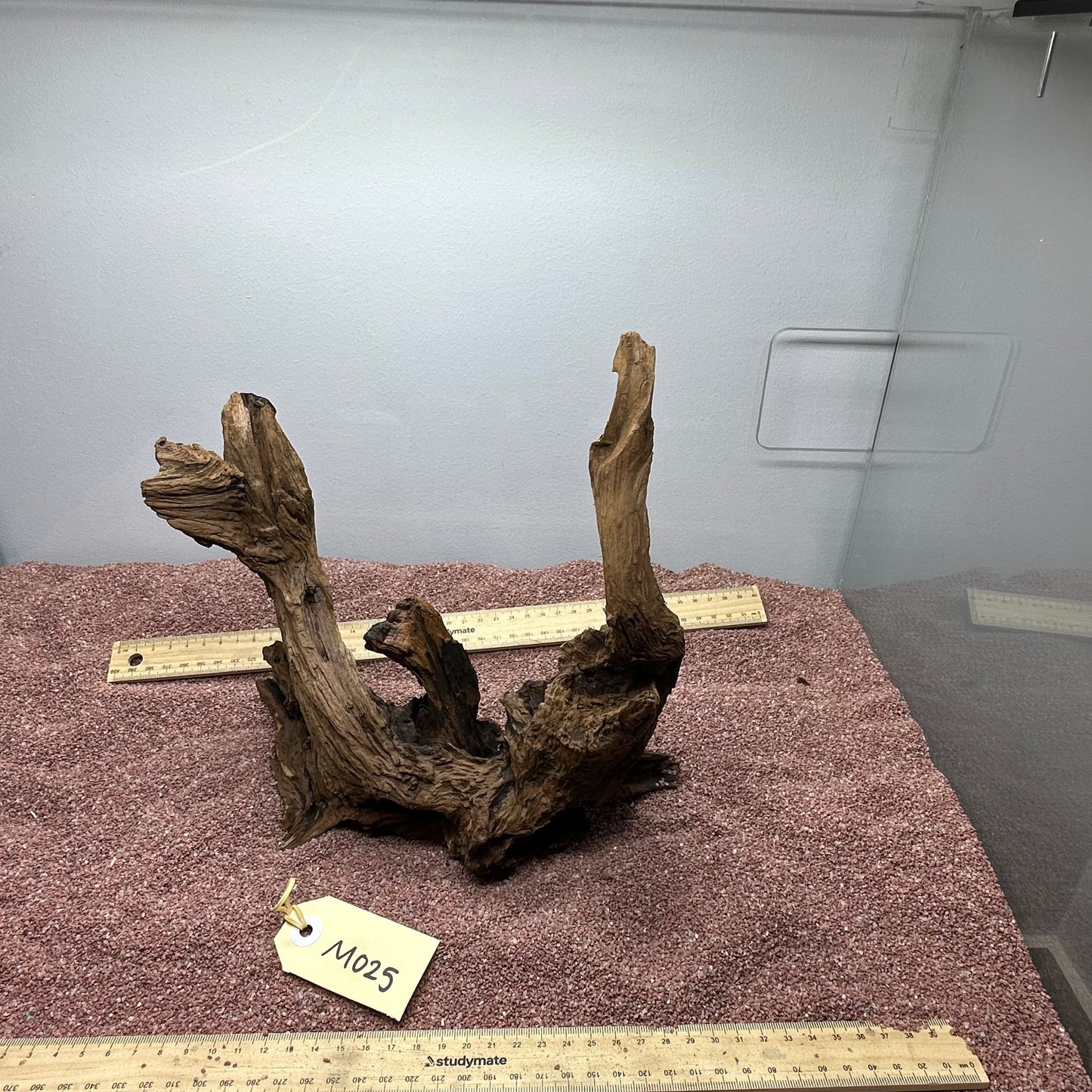 Driftwood (Medium)