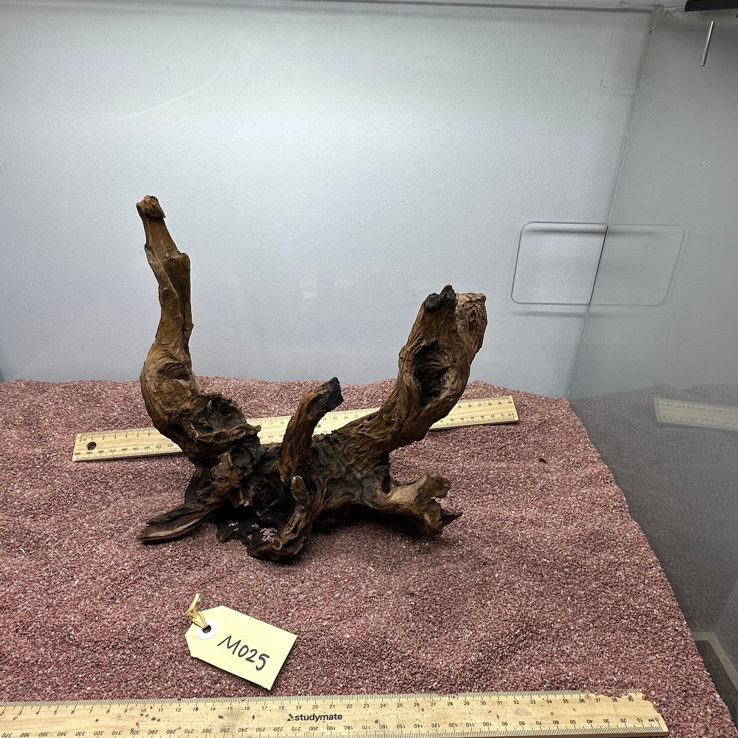 Driftwood (Medium)