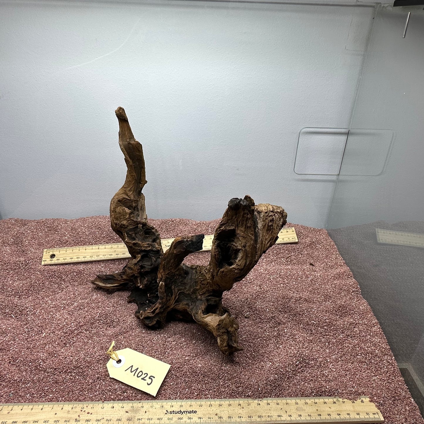 Driftwood (Medium)