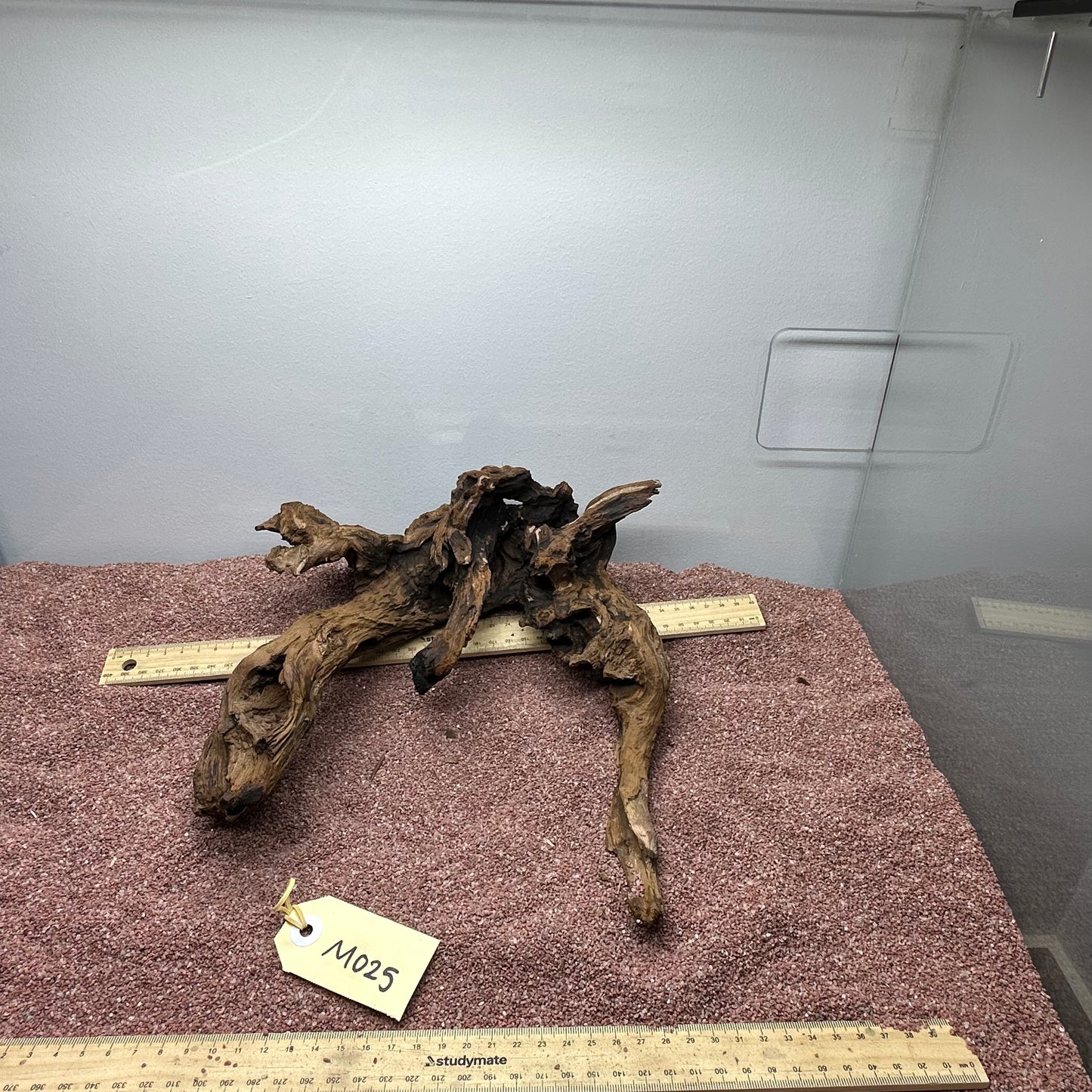 Driftwood (Medium)