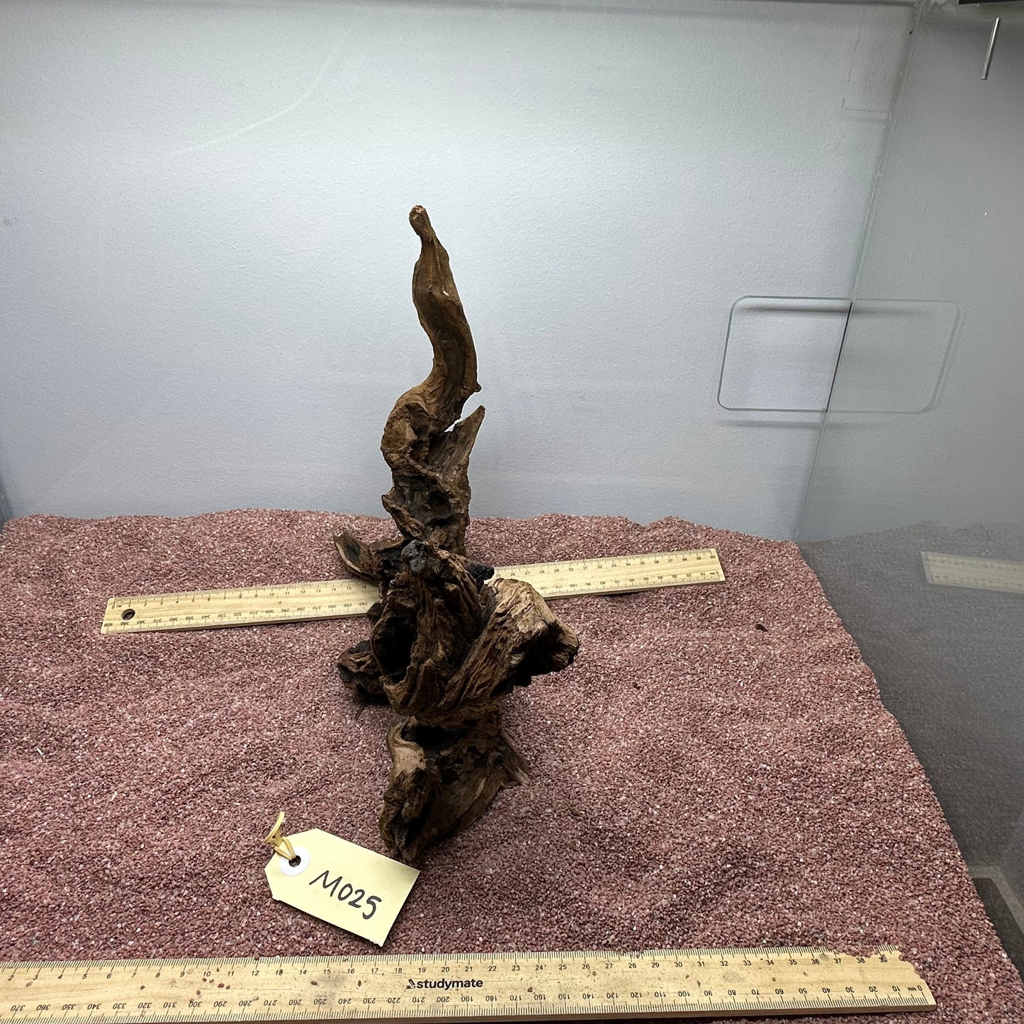 Driftwood (Medium)