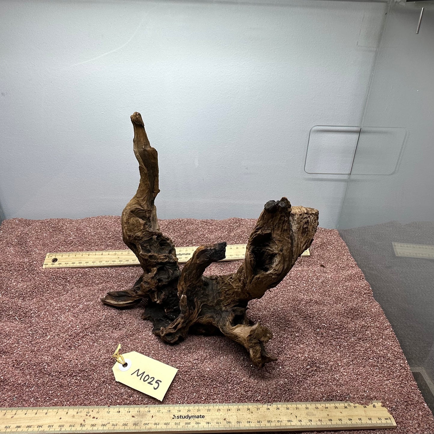 Driftwood (Medium)