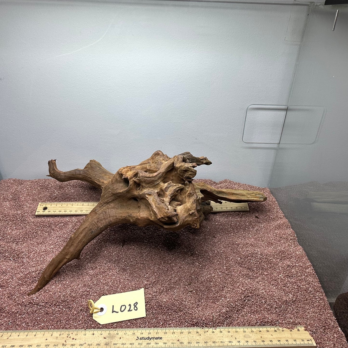 Driftwood (Large)