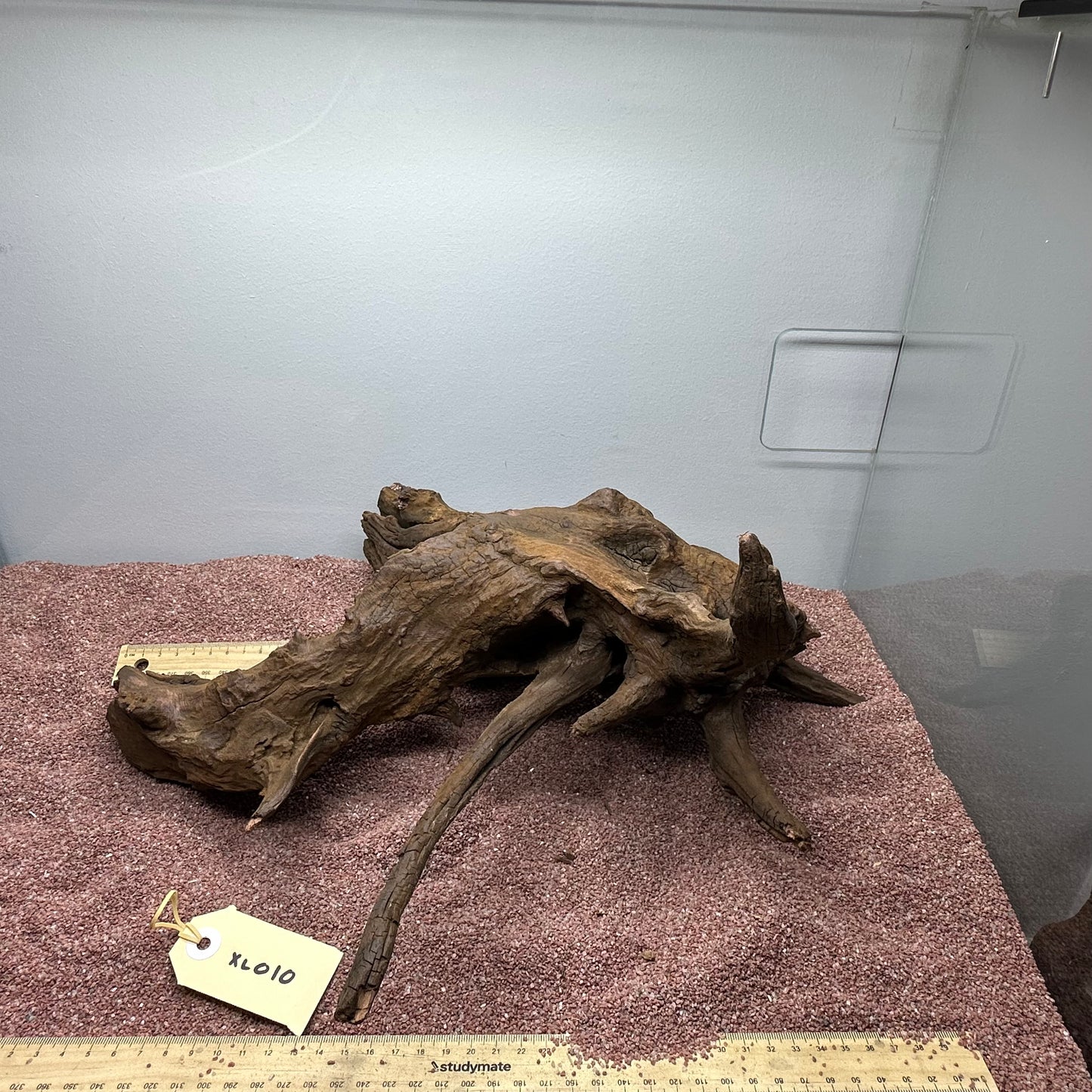 Driftwood (X Large)
