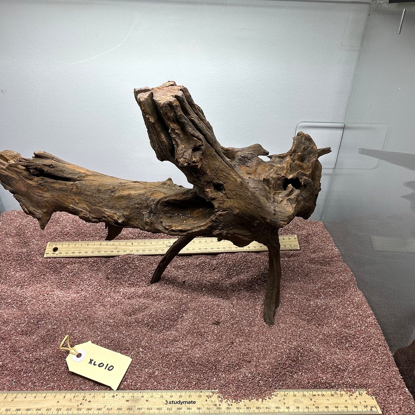 Driftwood (X Large)