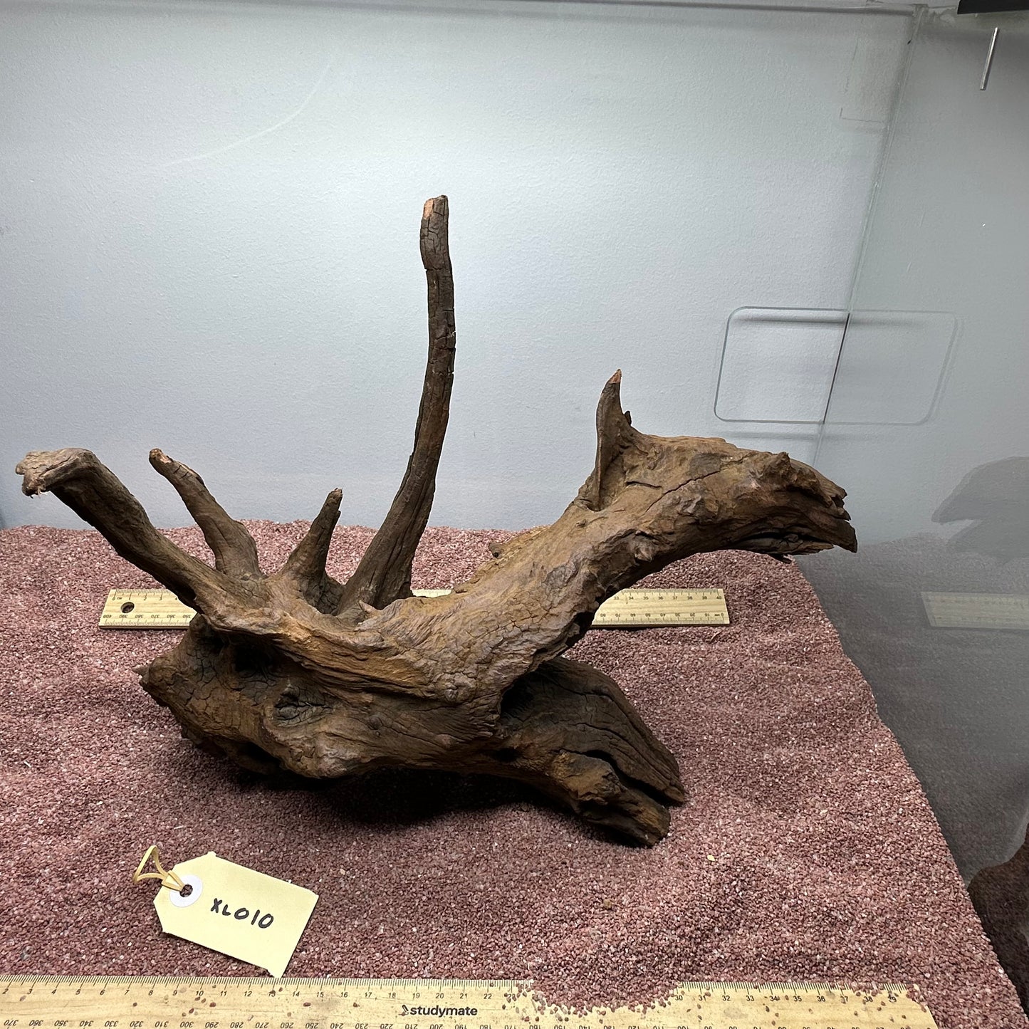 Driftwood (X Large)