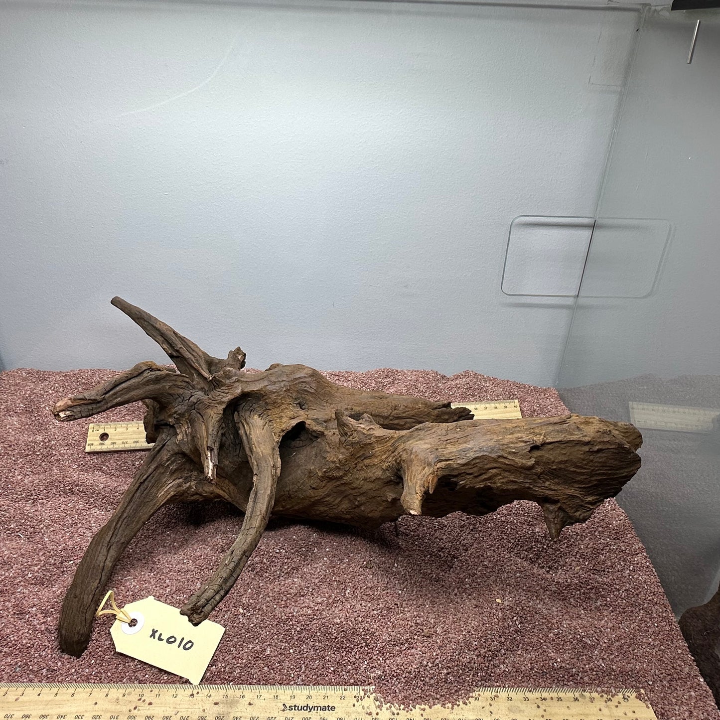 Driftwood (X Large)