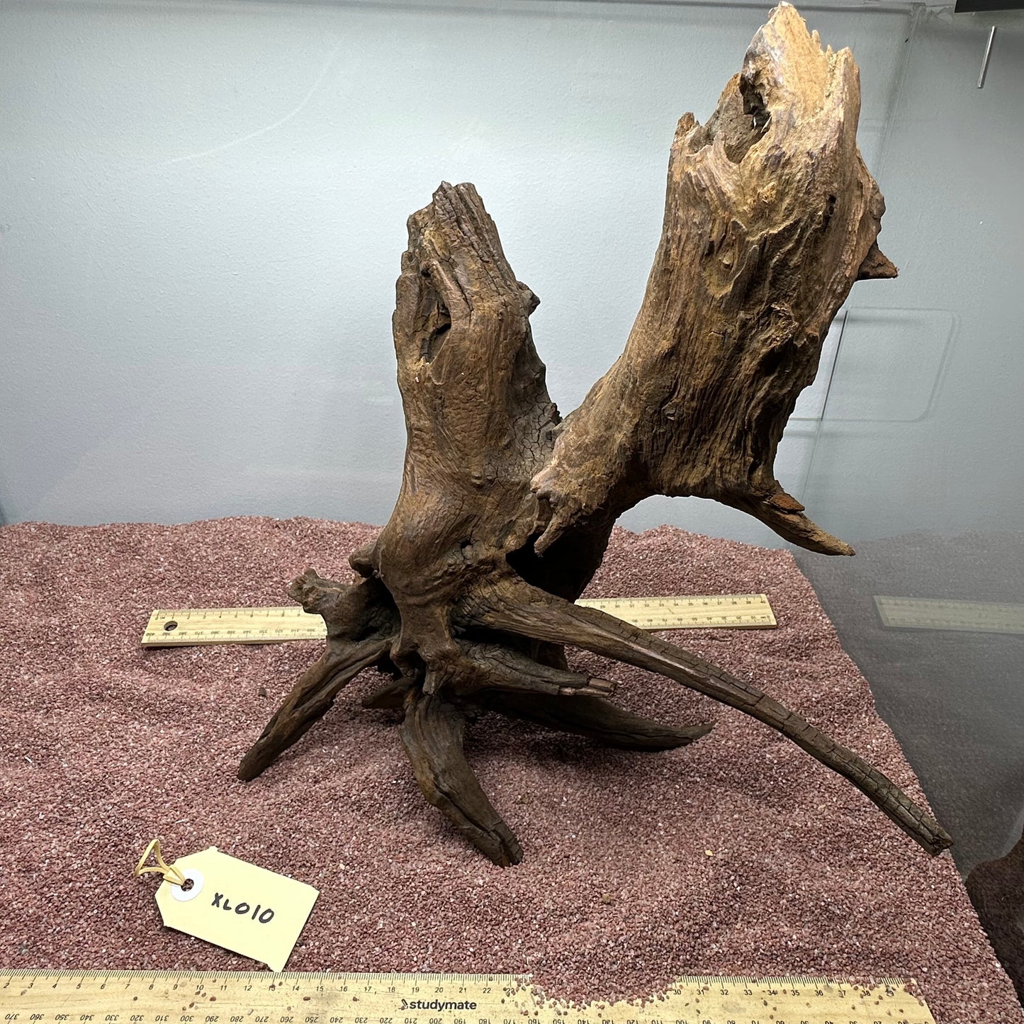 Driftwood (X Large)