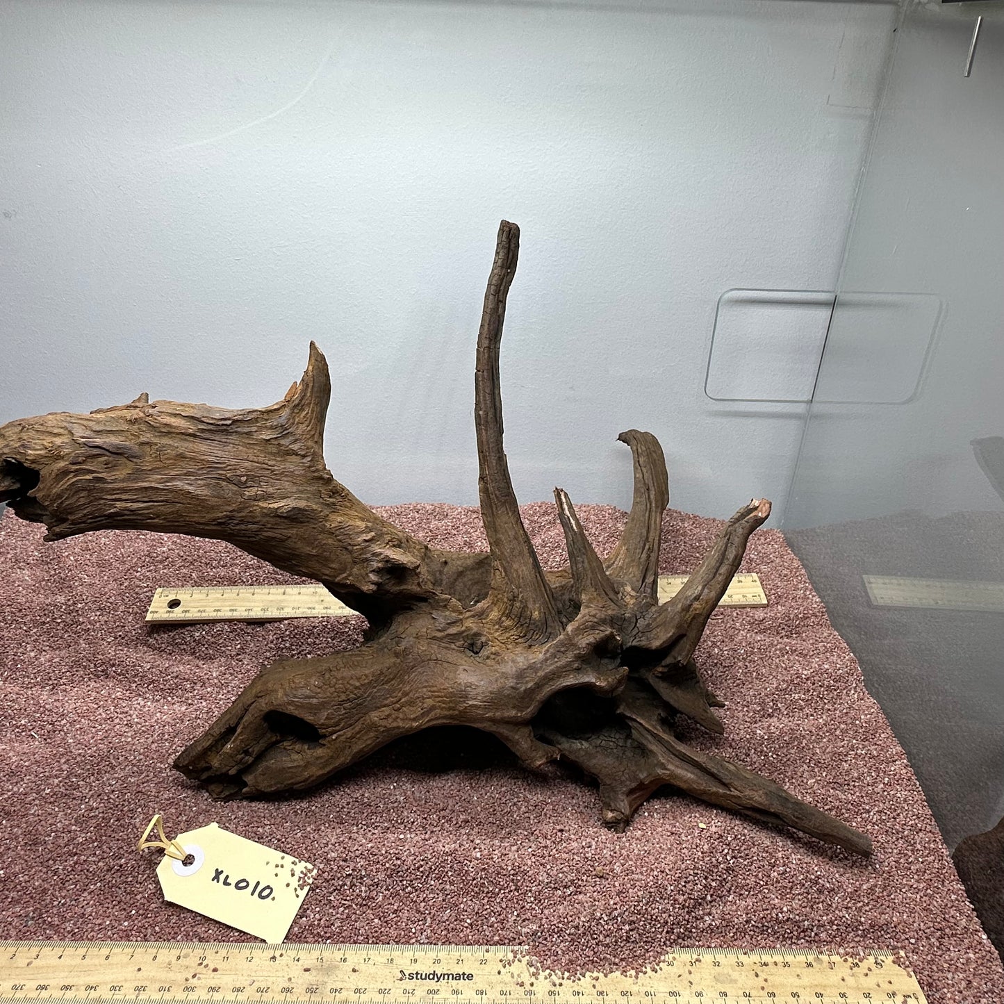 Driftwood (X Large)