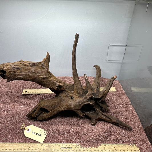 Driftwood (X Large)