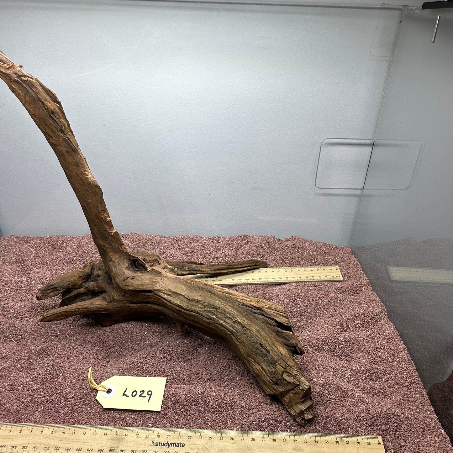 Driftwood (Large)