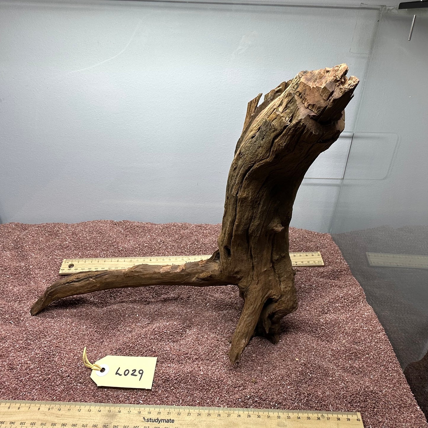 Driftwood (Large)