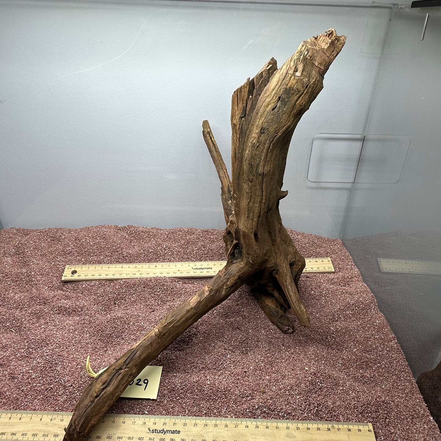Driftwood (Large)