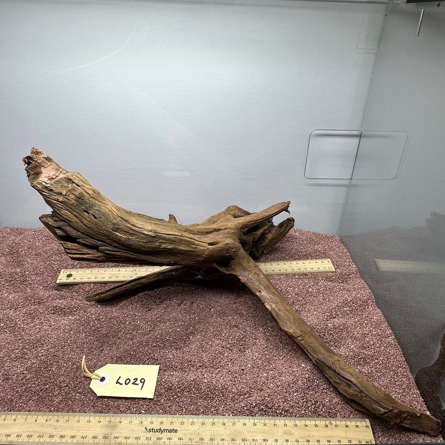 Driftwood (Large)